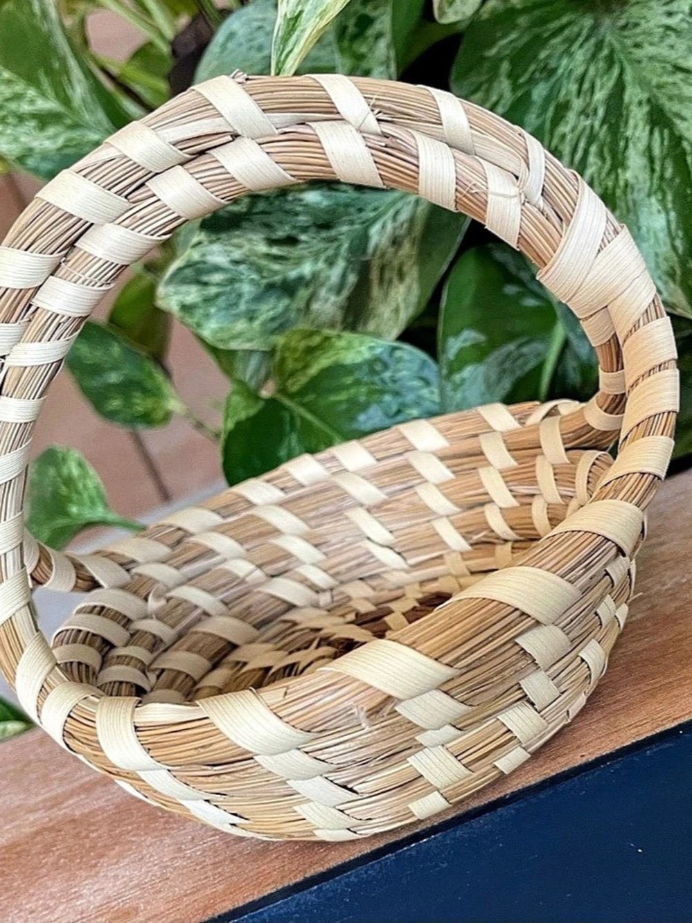 Carolina Sweetgrass Handwoven Basket with Handle in Brown & Cream